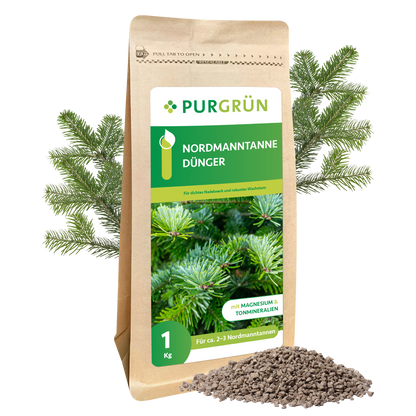 Eine 1 kg-Packung Purgrün Nordmanntanne-Dünger steht aufrecht mit Tannenzweigen im Hintergrund und Granulat im Vordergrund. Auf dem deutschen Etikett sind grüne Tannennadeln und Produktangaben zu sehen.