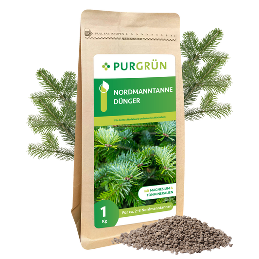 Eine 1 kg-Packung Purgrün Nordmanntanne-Dünger steht aufrecht mit Tannenzweigen im Hintergrund und Granulat im Vordergrund. Auf dem deutschen Etikett sind grüne Tannennadeln und Produktangaben zu sehen.