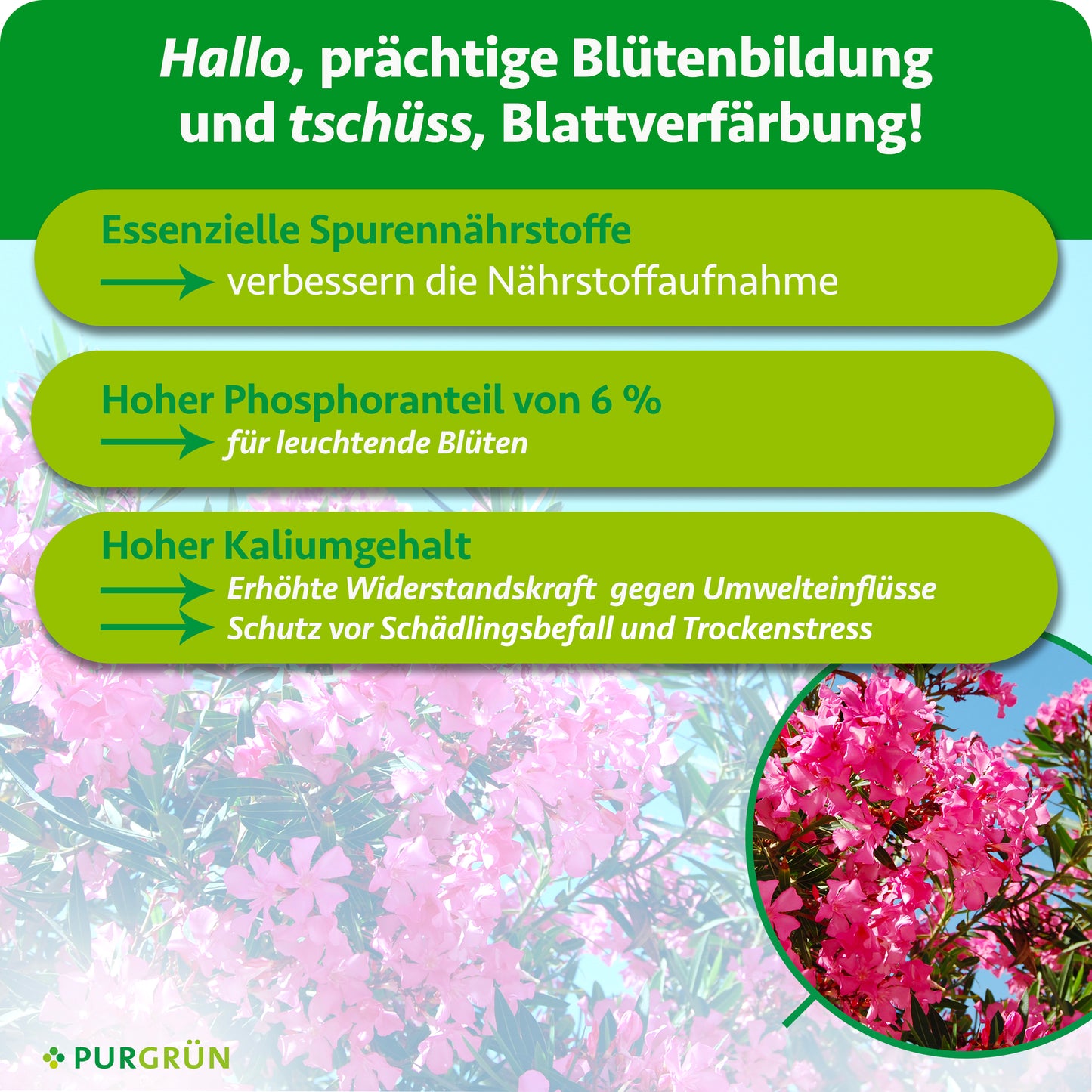 Oleander-Dünger 1 Liter
