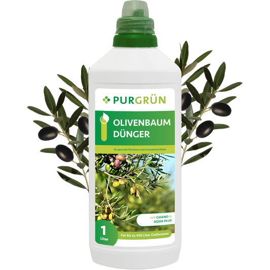 Olivenbaum-Dünger 1 Liter