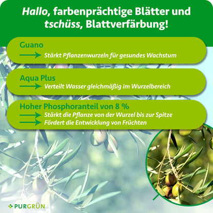 Olivenbaum-Dünger 1 Liter