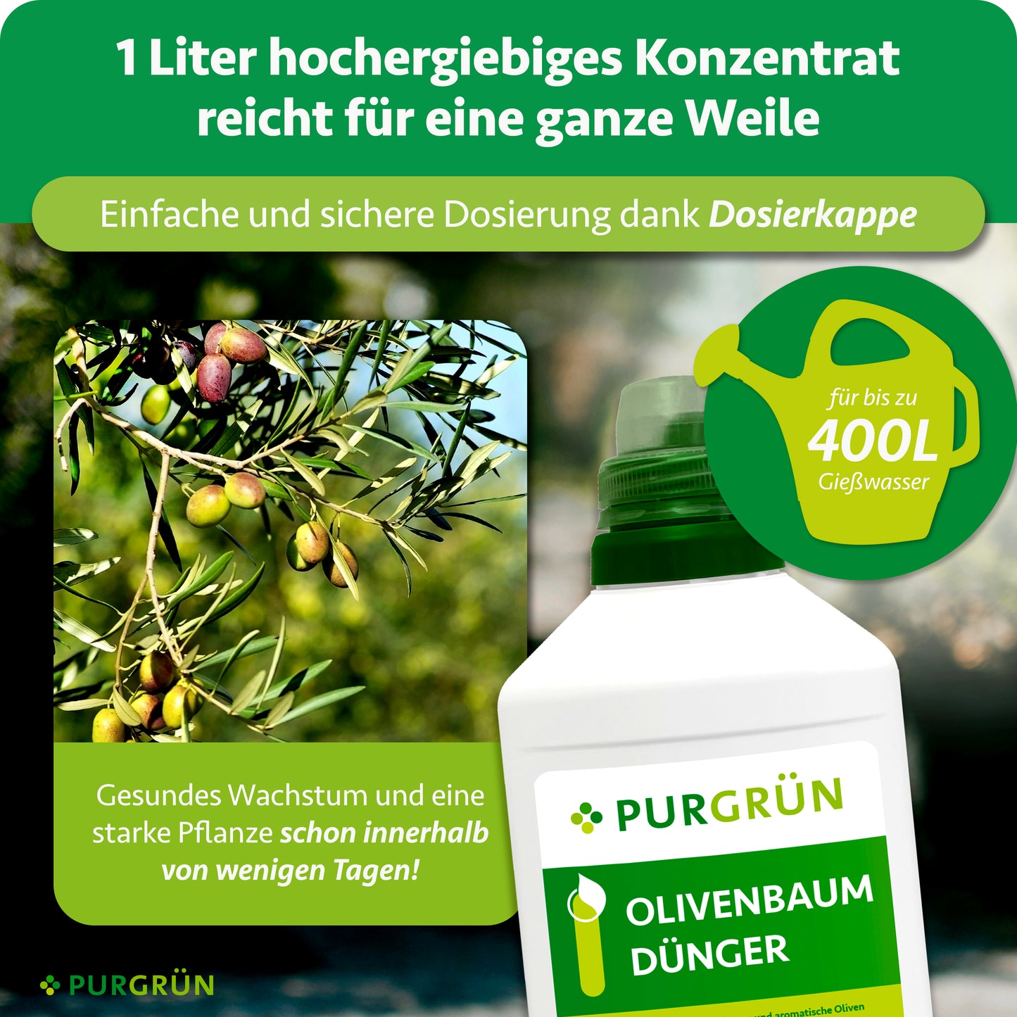 Olivenbaum-Dünger 1 Liter