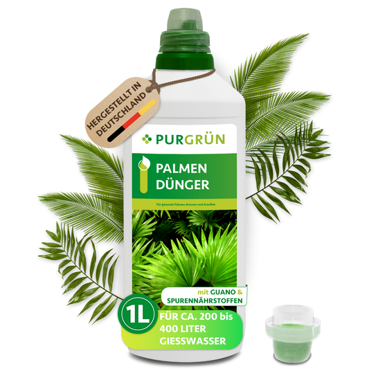 Palmendünger 1 Liter