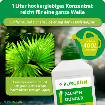Palmendünger 1 Liter
