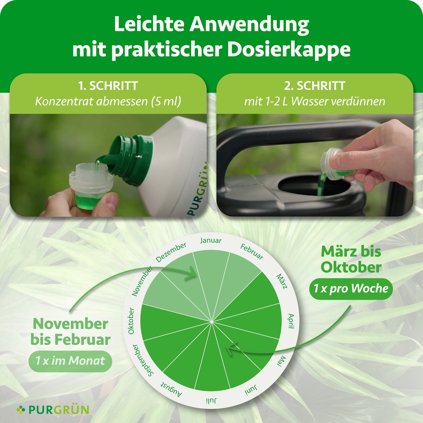 Palmendünger 1 Liter