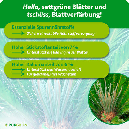 Palmfarn-Dünger 1 Liter