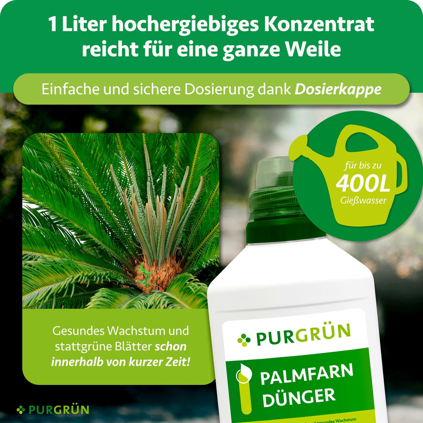 Palmfarn-Dünger 1 Liter