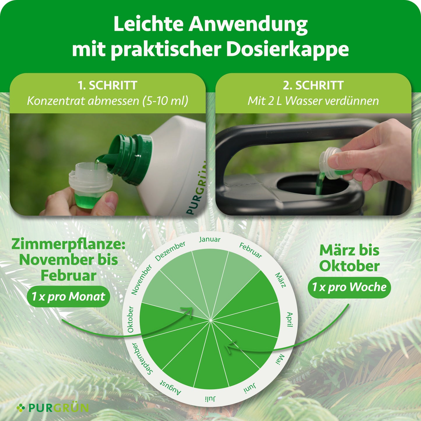 Palmfarn-Dünger 1 Liter