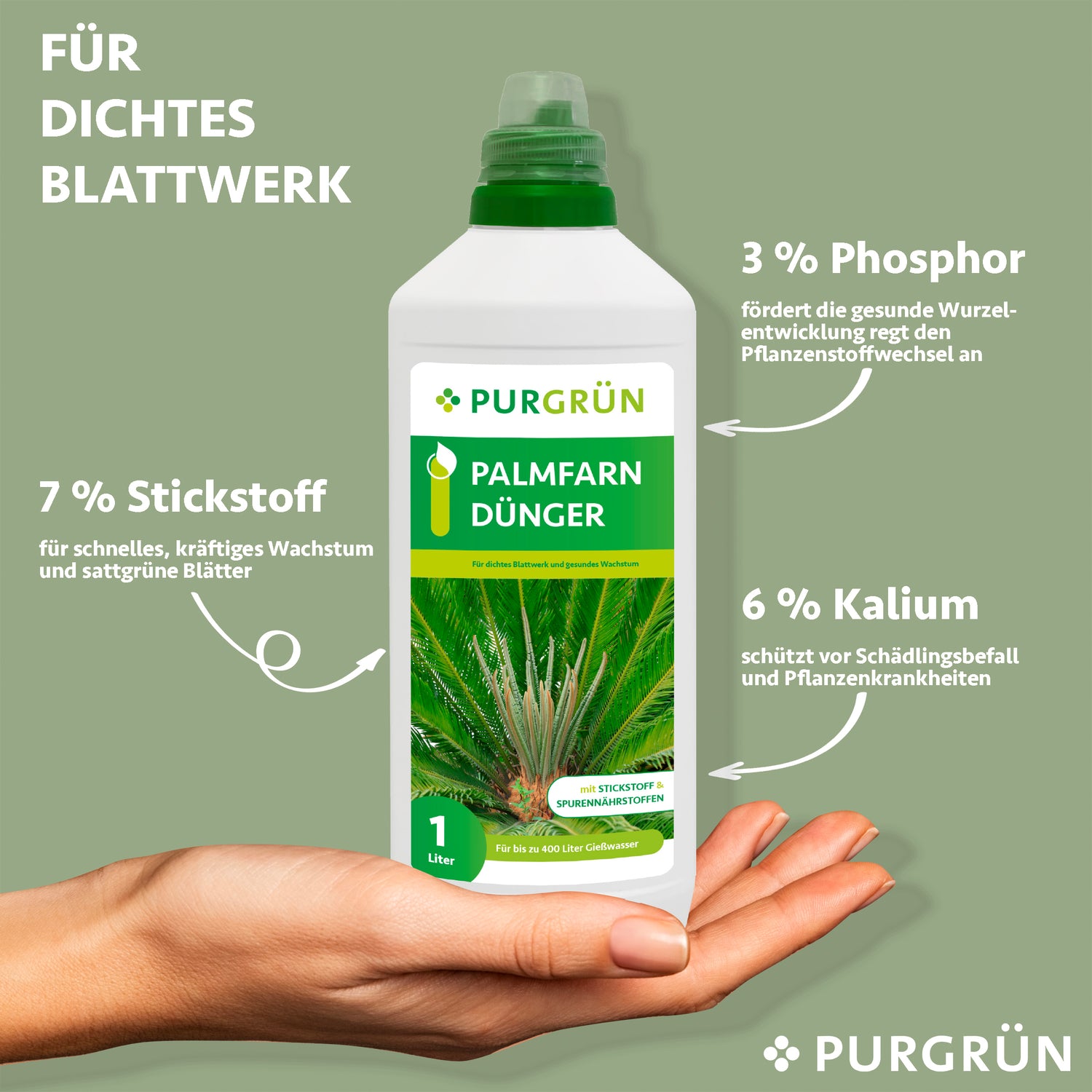 Eine Hand hält eine 1-Liter-Flasche Purgrün Palmfarn-Dünger. Weißer Text auf grünem Grund hebt die stickstoffreiche NPK-Formel 7+3+6 für gesundes, dichtes Laub hervor. Inklusive Pflanzengrafik.
