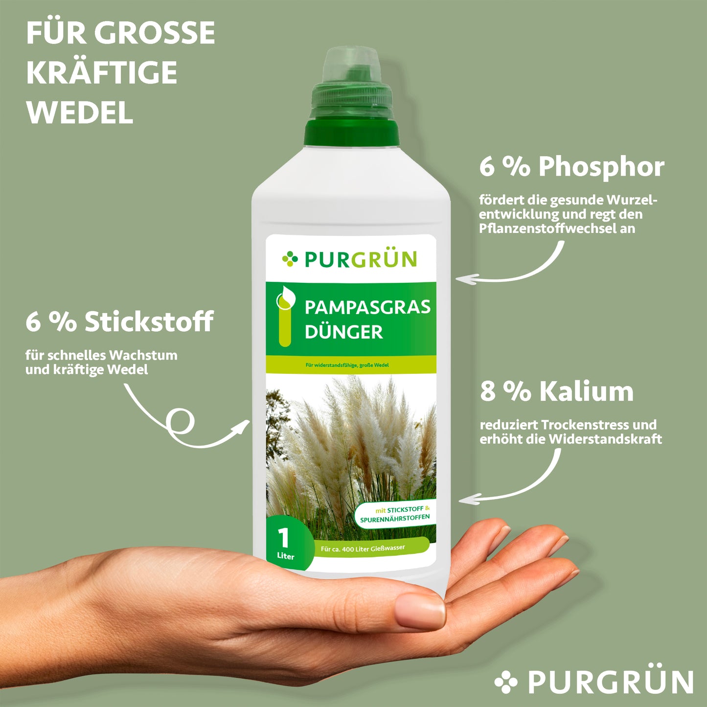 Pampasgras-Dünger 1 Liter