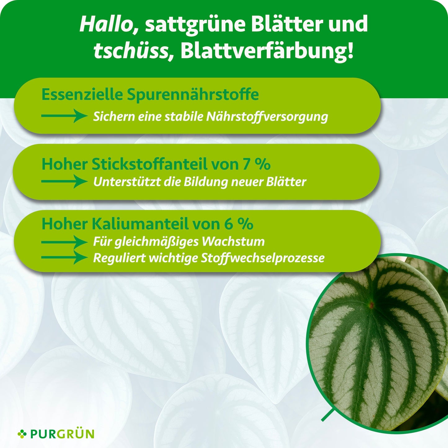 Essenzielle Spurennährstoffe sichern die Nährstoffversorgung; 7 % Stickstoff unterstützen neue Blätter und 6 % Kalium gleichmäßiges Wachstum sowie wichtige Stoffwechselprozesse.