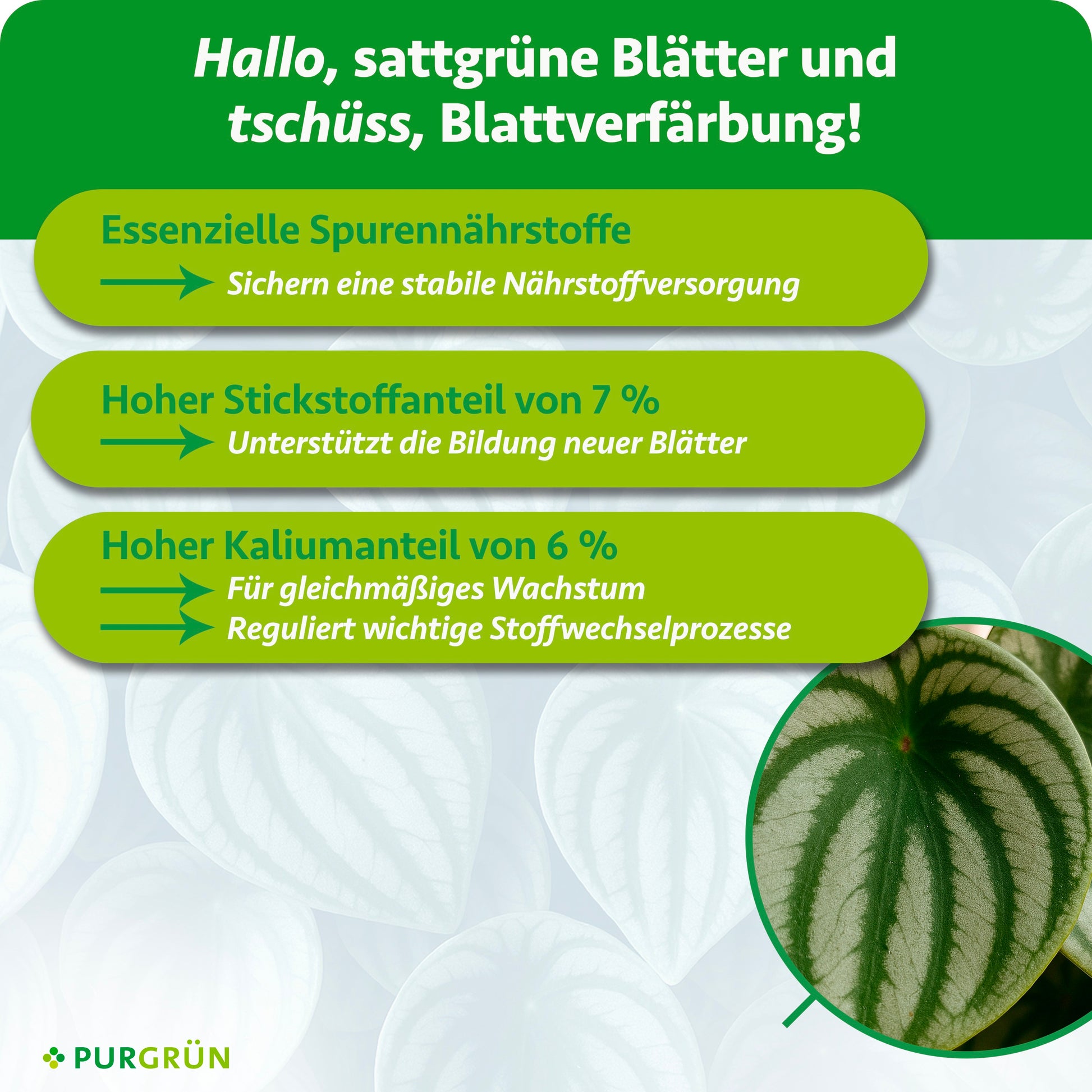 Essenzielle Spurennährstoffe sichern die Nährstoffversorgung; 7 % Stickstoff unterstützen neue Blätter und 6 % Kalium gleichmäßiges Wachstum sowie wichtige Stoffwechselprozesse.