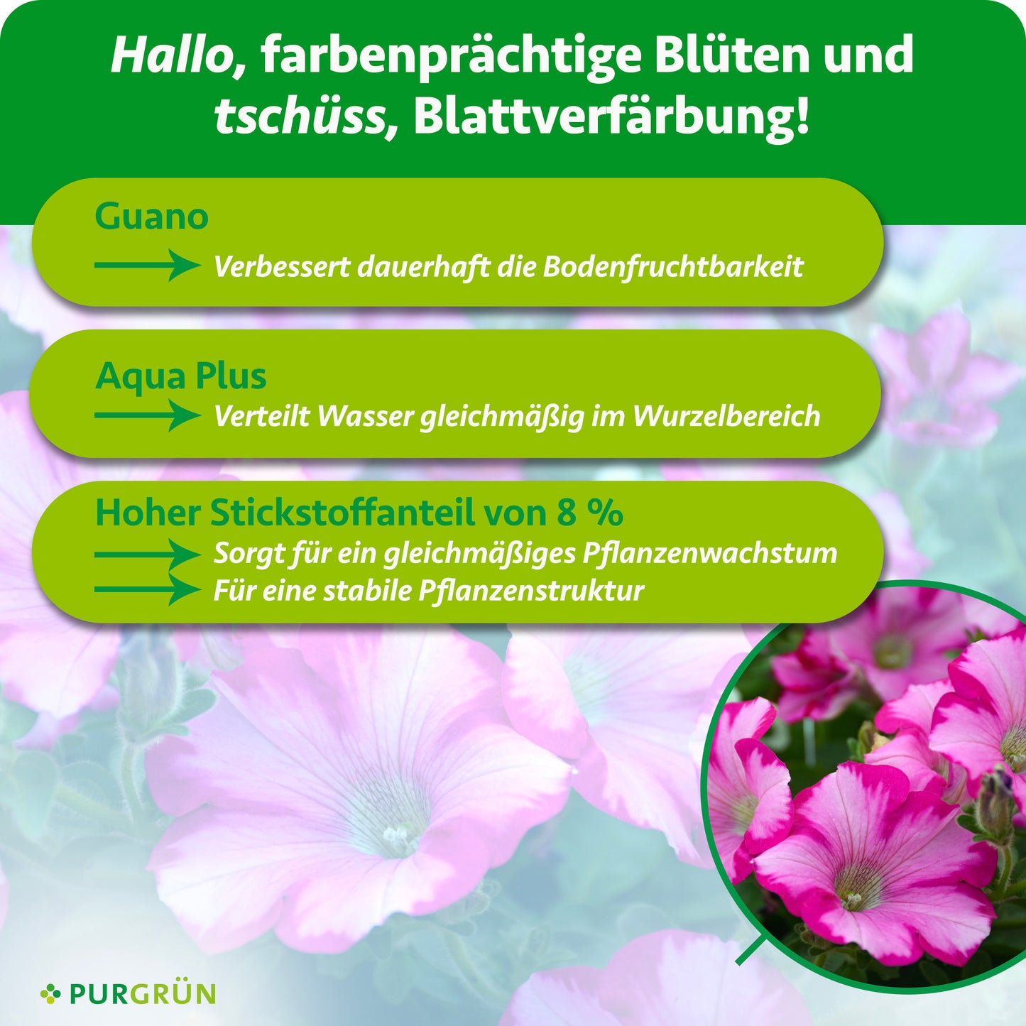 Petuniendünger 1 Liter