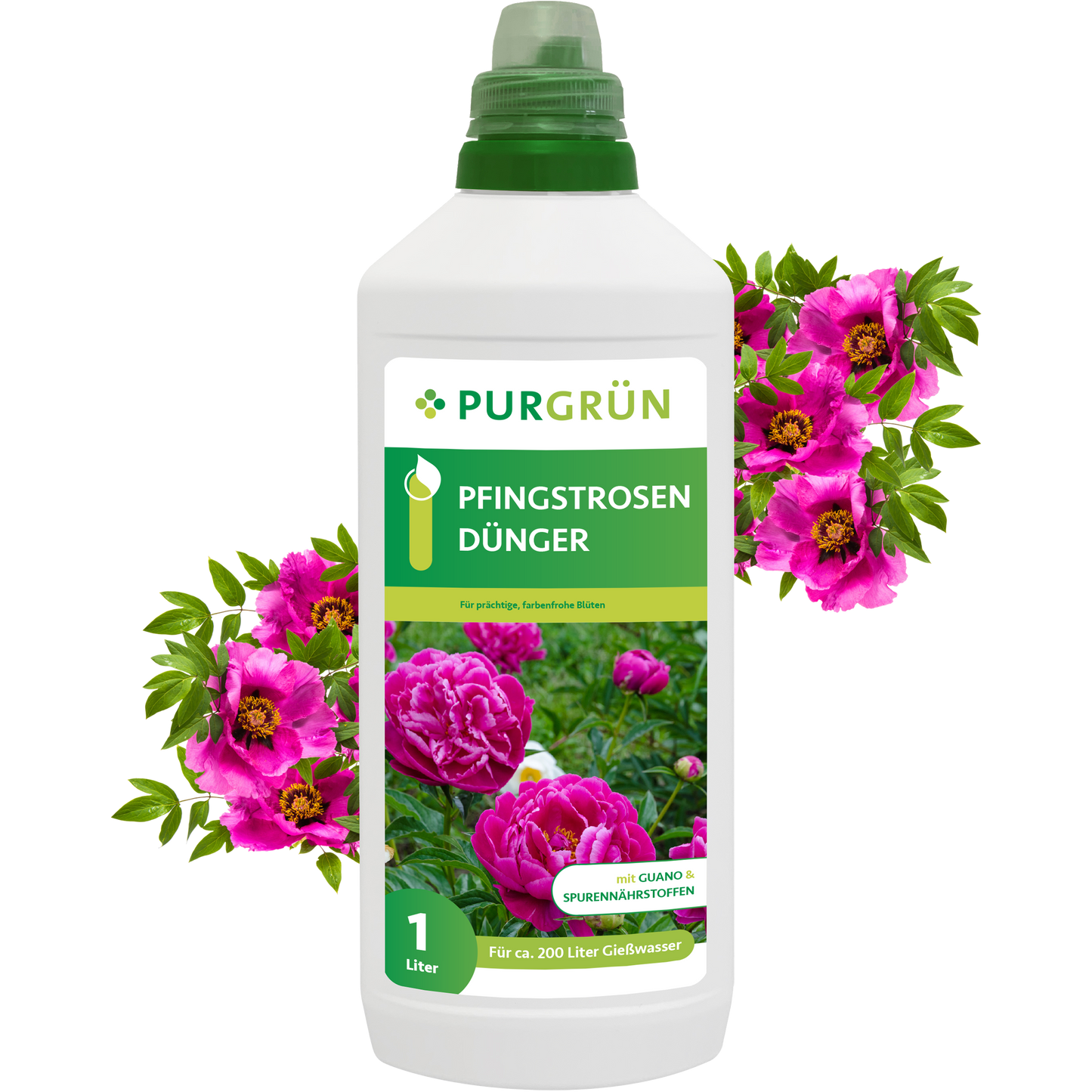 Der Purgrün Pfingstrosen-Dünger 1 Liter hat eine grüne Kappe und ein Etikett mit leuchtend rosa Pfingstrosen. Umgeben von blühenden Pfingstrosen verspricht dieser Dünger eine üppige Blütenpracht - ideal für eine gesunde, üppige Blüte.
