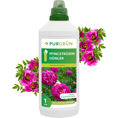 Der Purgrün Pfingstrosen-Dünger 1 Liter hat eine grüne Kappe und ein Etikett mit leuchtend rosa Pfingstrosen. Umgeben von blühenden Pfingstrosen verspricht dieser Dünger eine üppige Blütenpracht - ideal für eine gesunde, üppige Blüte.