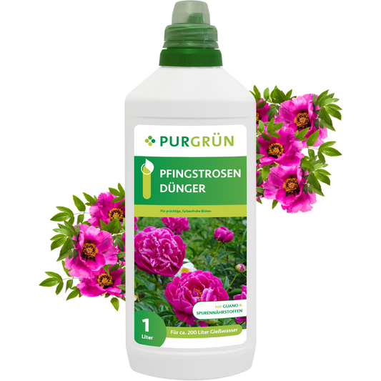 Der Purgrün Pfingstrosen-Dünger 1 Liter hat eine grüne Kappe und ein Etikett mit leuchtend rosa Pfingstrosen. Umgeben von blühenden Pfingstrosen verspricht dieser Dünger eine üppige Blütenpracht - ideal für eine gesunde, üppige Blüte.