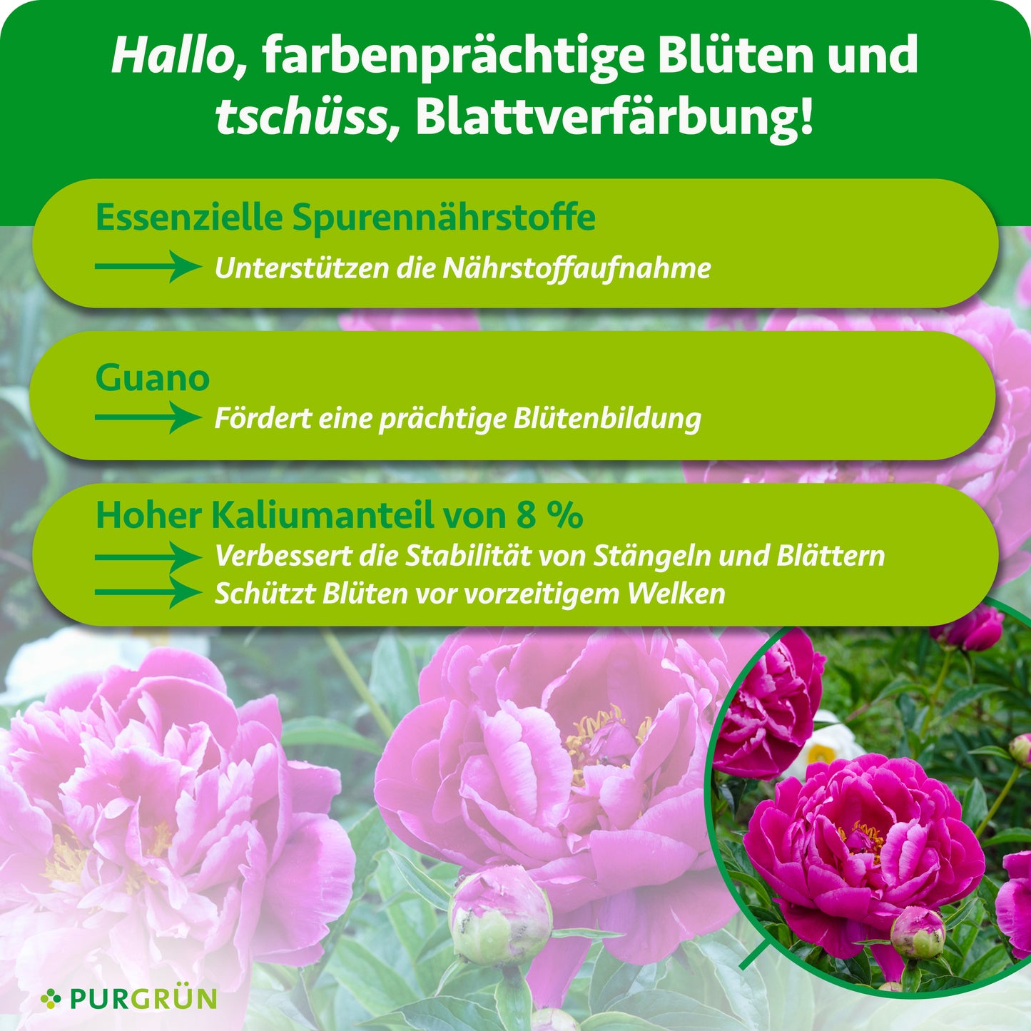 Pfingstrosen-Dünger 1 Liter