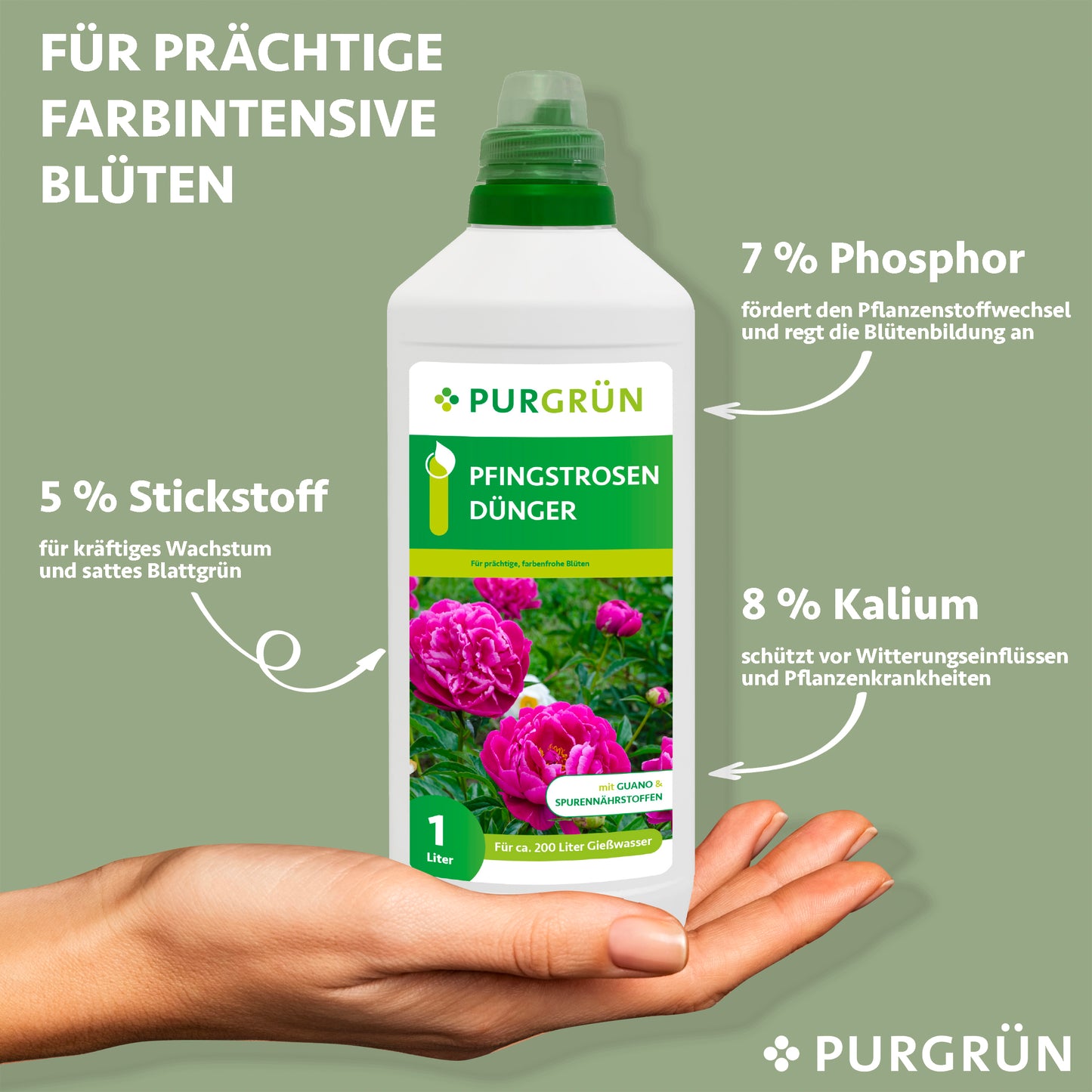 Eine Hand hält eine 1-Liter-Flasche Purgrün Pfingstrosen-Dünger, auf deren Etikett Pfingstrosenblüten abgebildet sind. Der Text hebt hervor, dass 5 % Stickstoff für das Wachstum, 7 % Phosphor für den Stoffwechsel und 8 % Kalium für eine üppige Blüte sorgen.