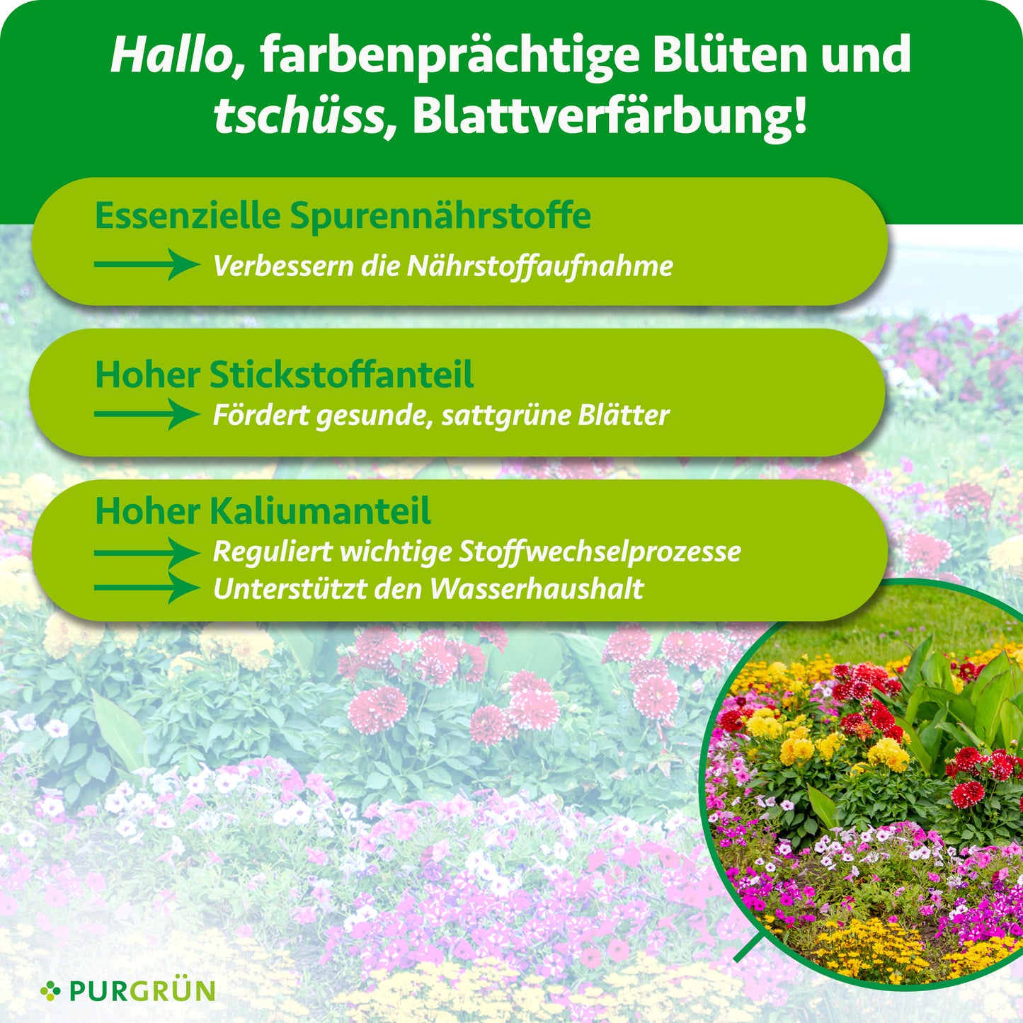 Pflanzendünger 1 Liter