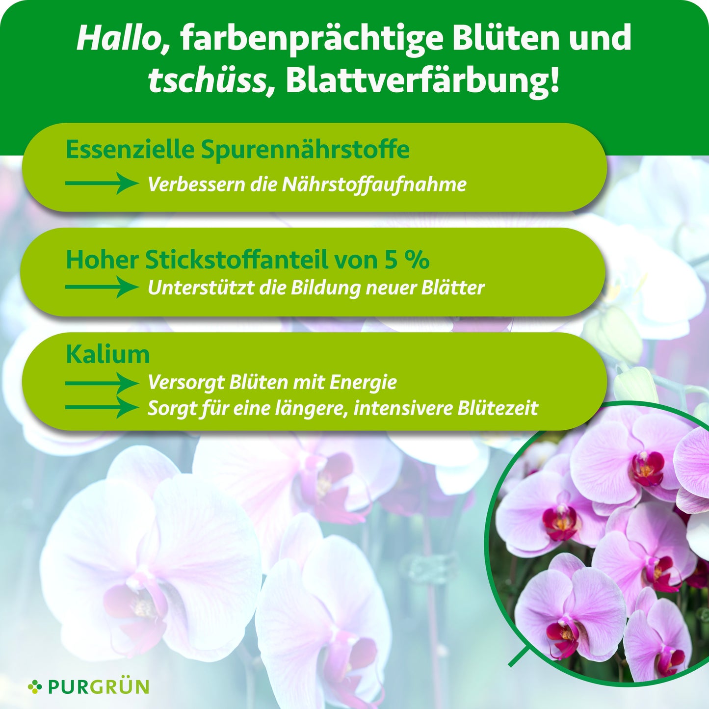 Phalaenopsis-Dünger 1 Liter