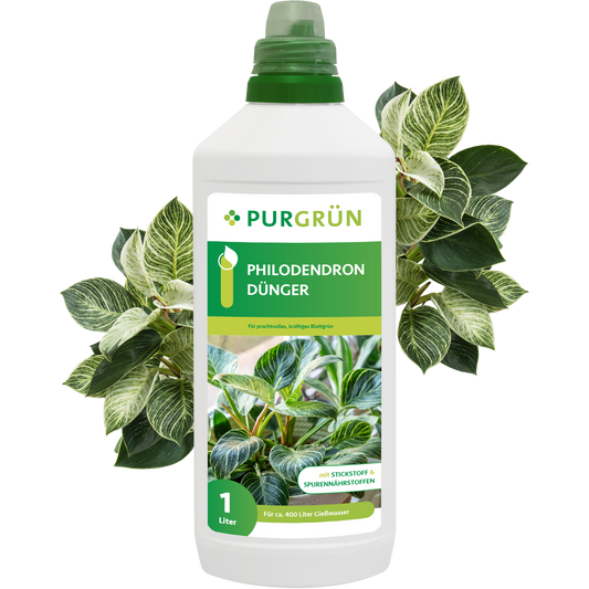 Philodendron-Dünger 1 Liter