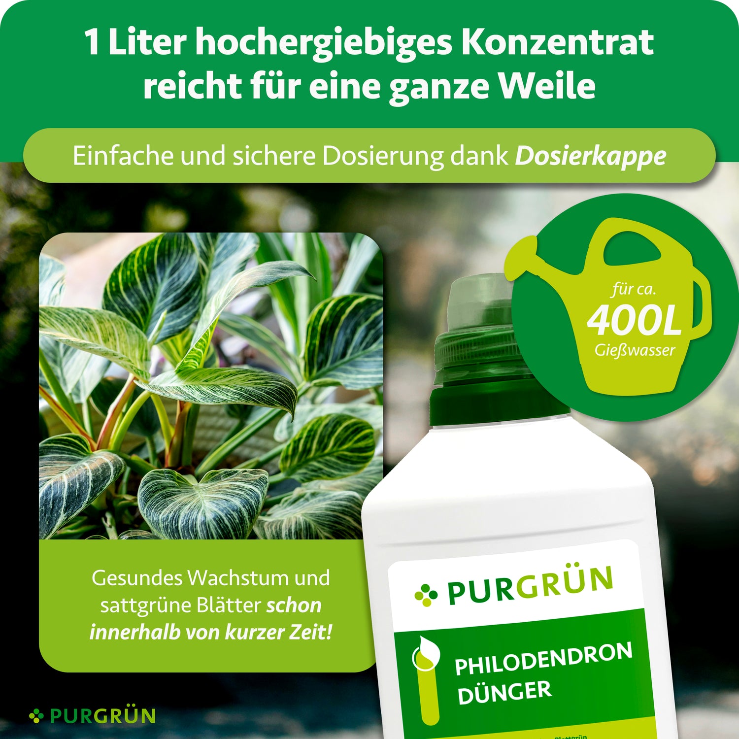 Purgrün Philodendron-Dünger 1 Liter