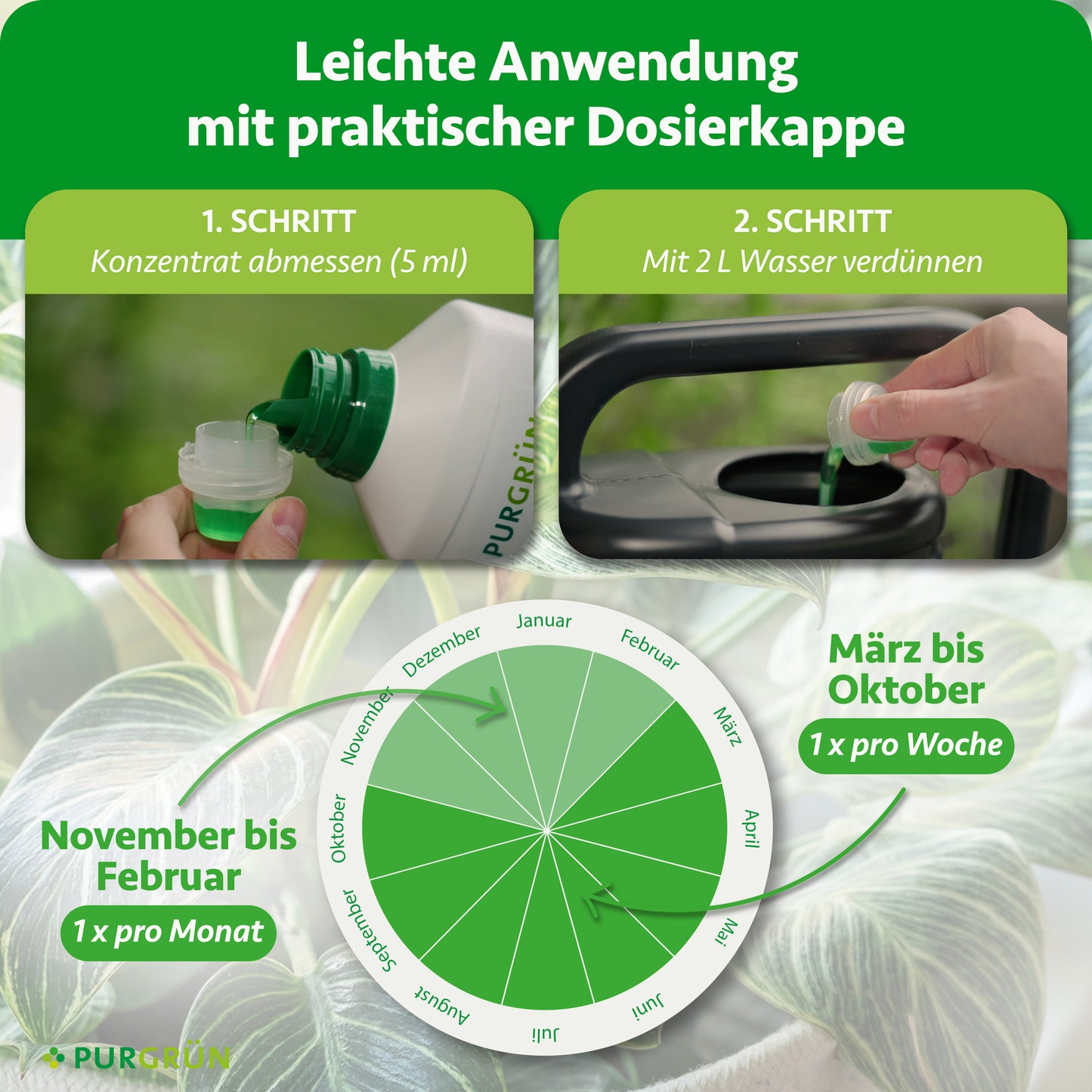 Philodendron-Dünger 1 Liter