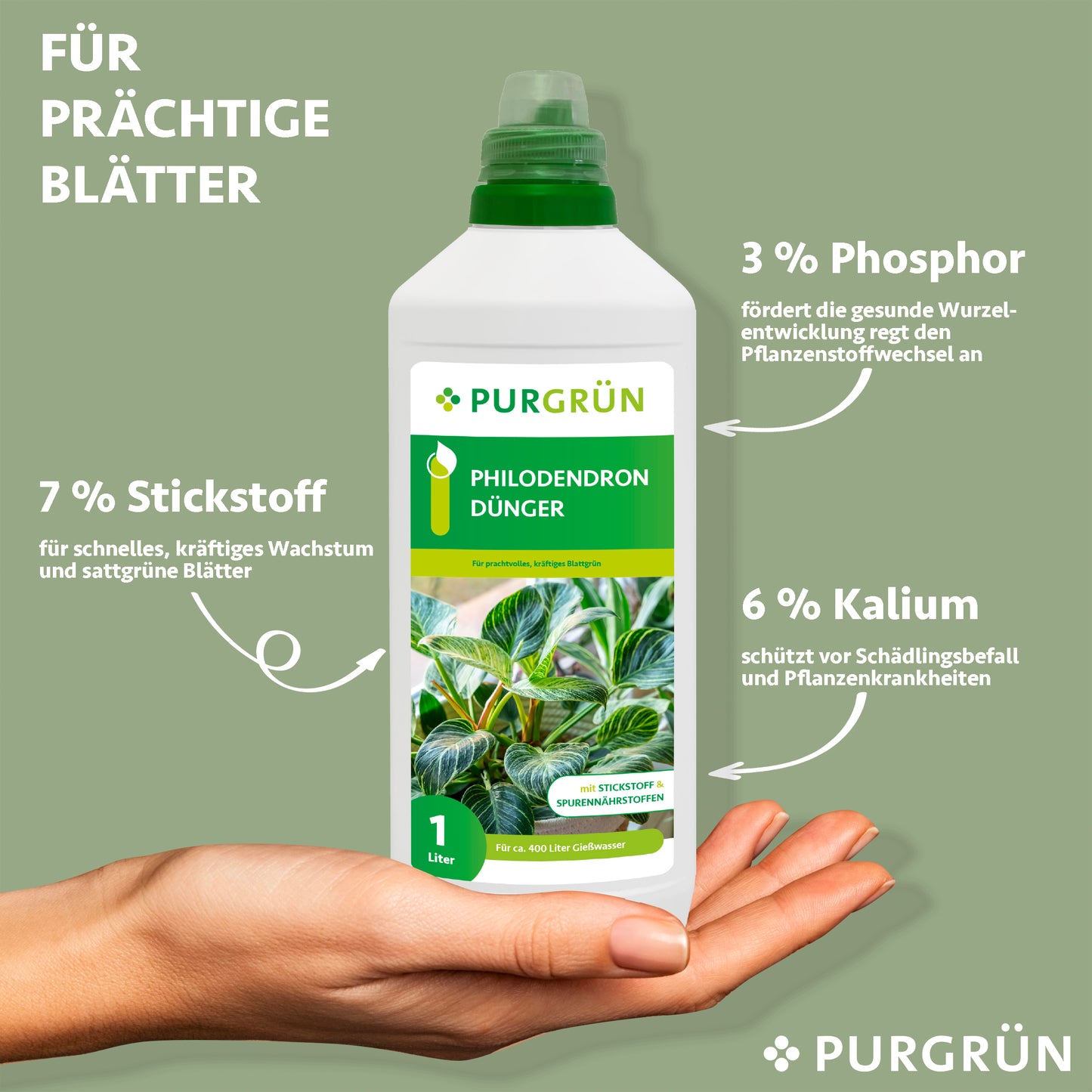 Philodendron-Dünger 1 Liter