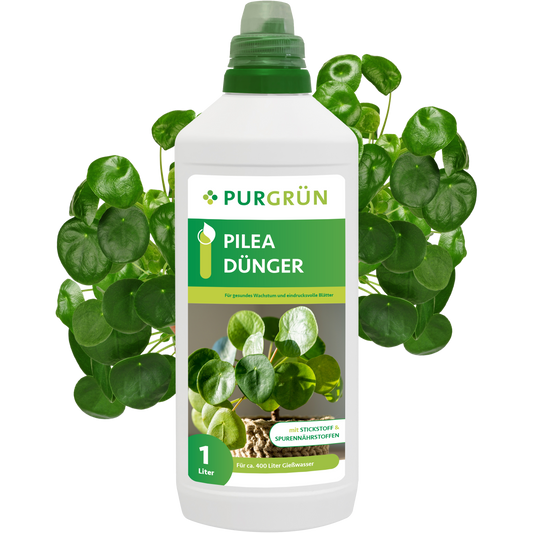 Pilea-Dünger 1 Liter