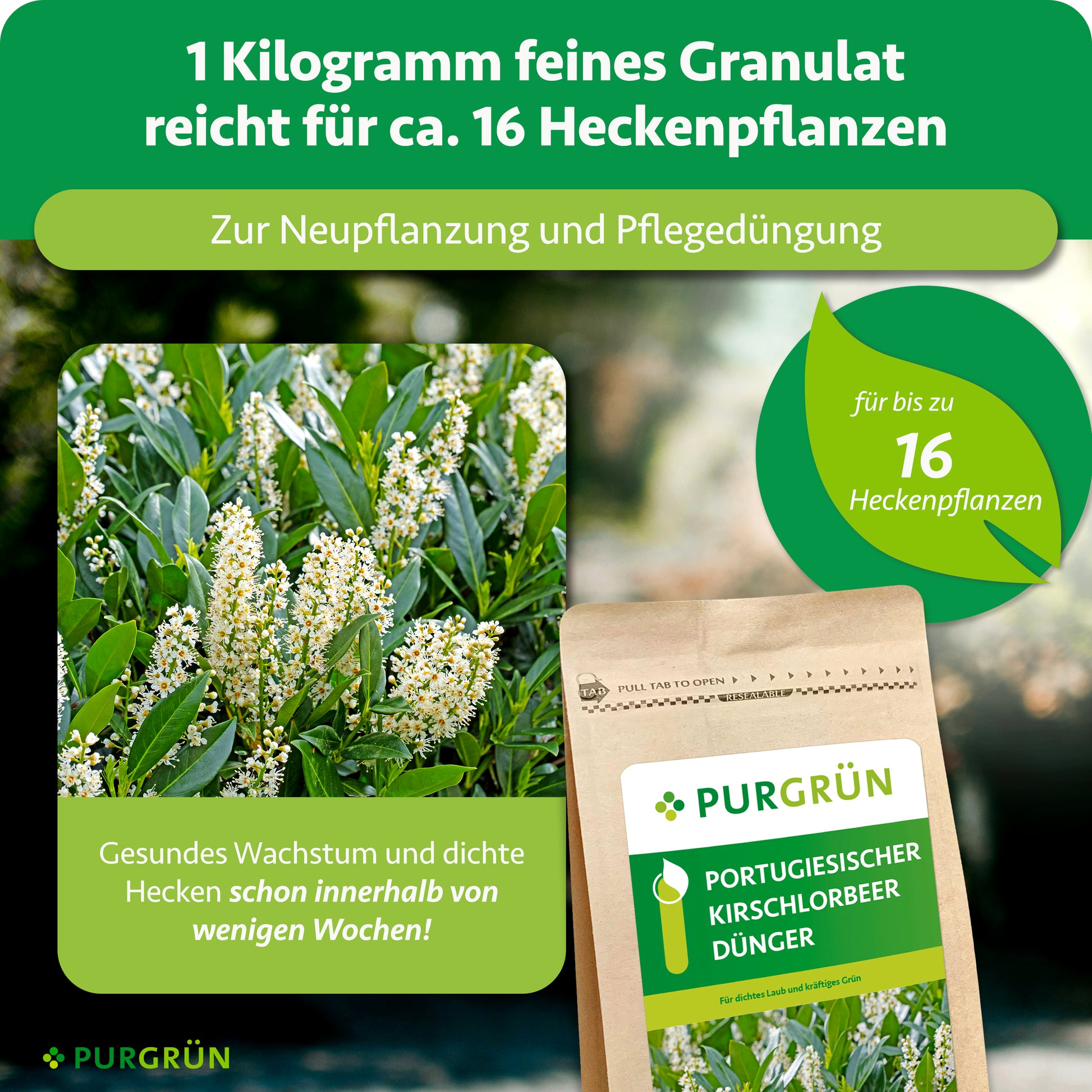 Purgrün Portugiesischer-Kirschlorbeer-Dünger 1 Liter