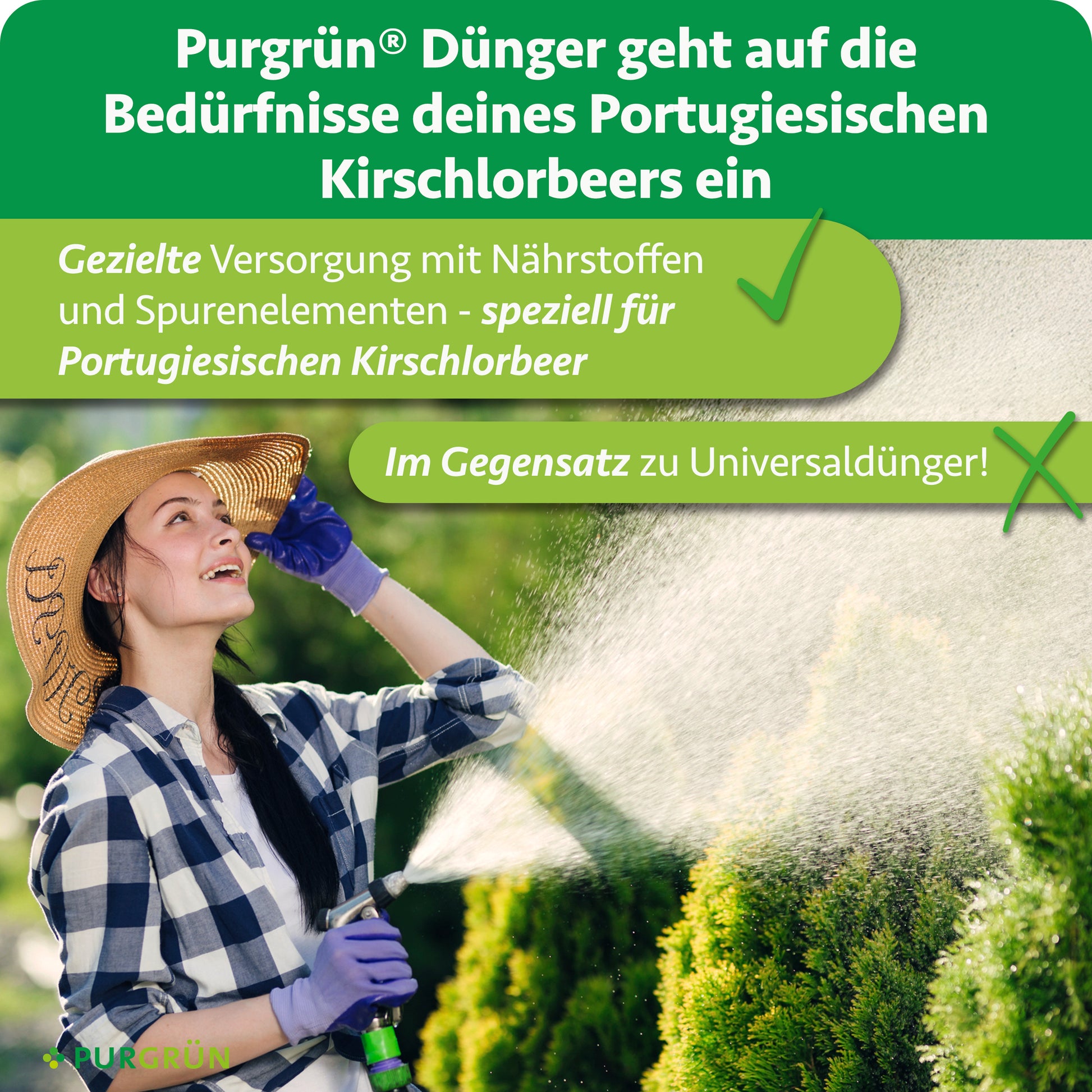 Purgrün Portugiesischer-Kirschlorbeer-Dünger 1 Liter