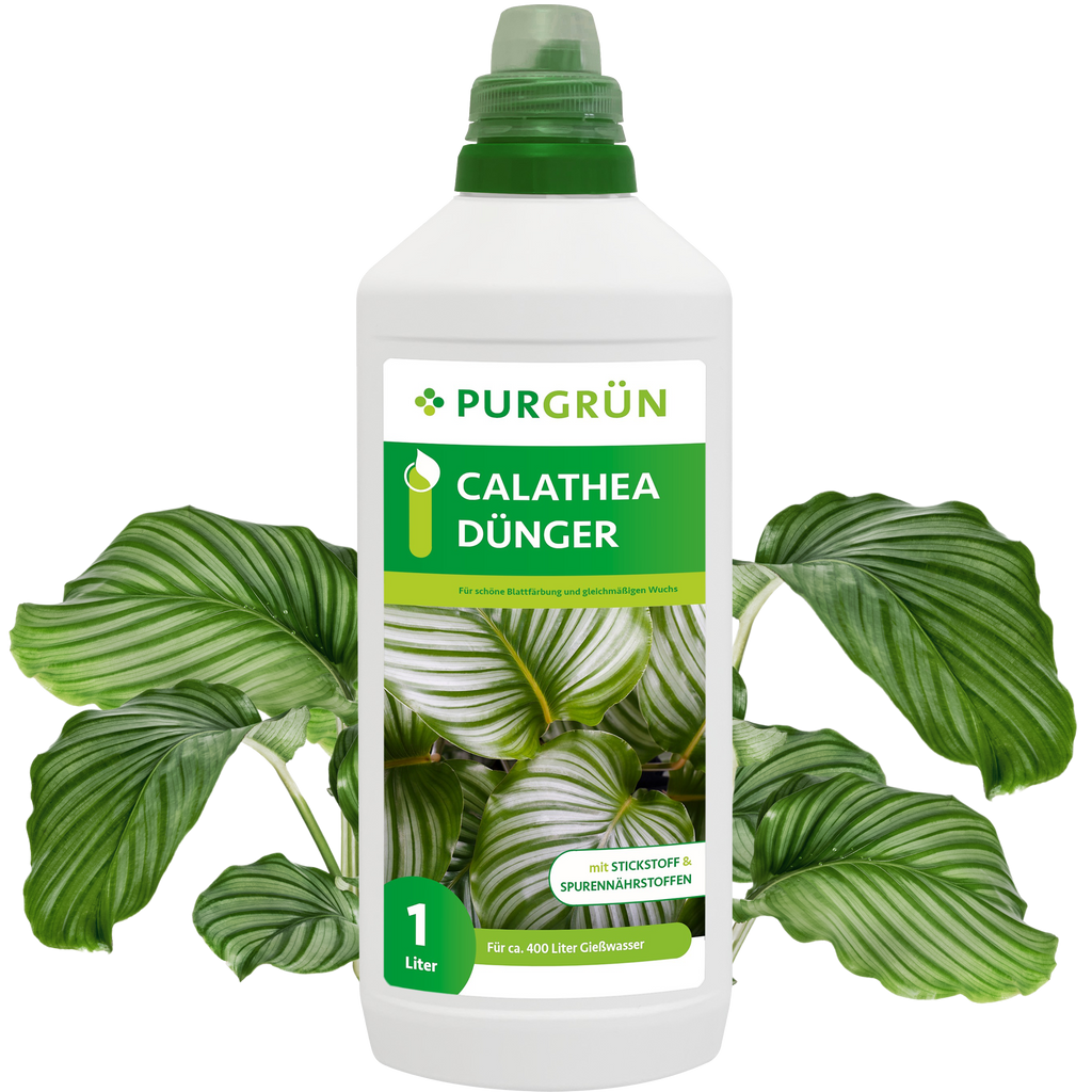 Calatheadünger 1 Liter