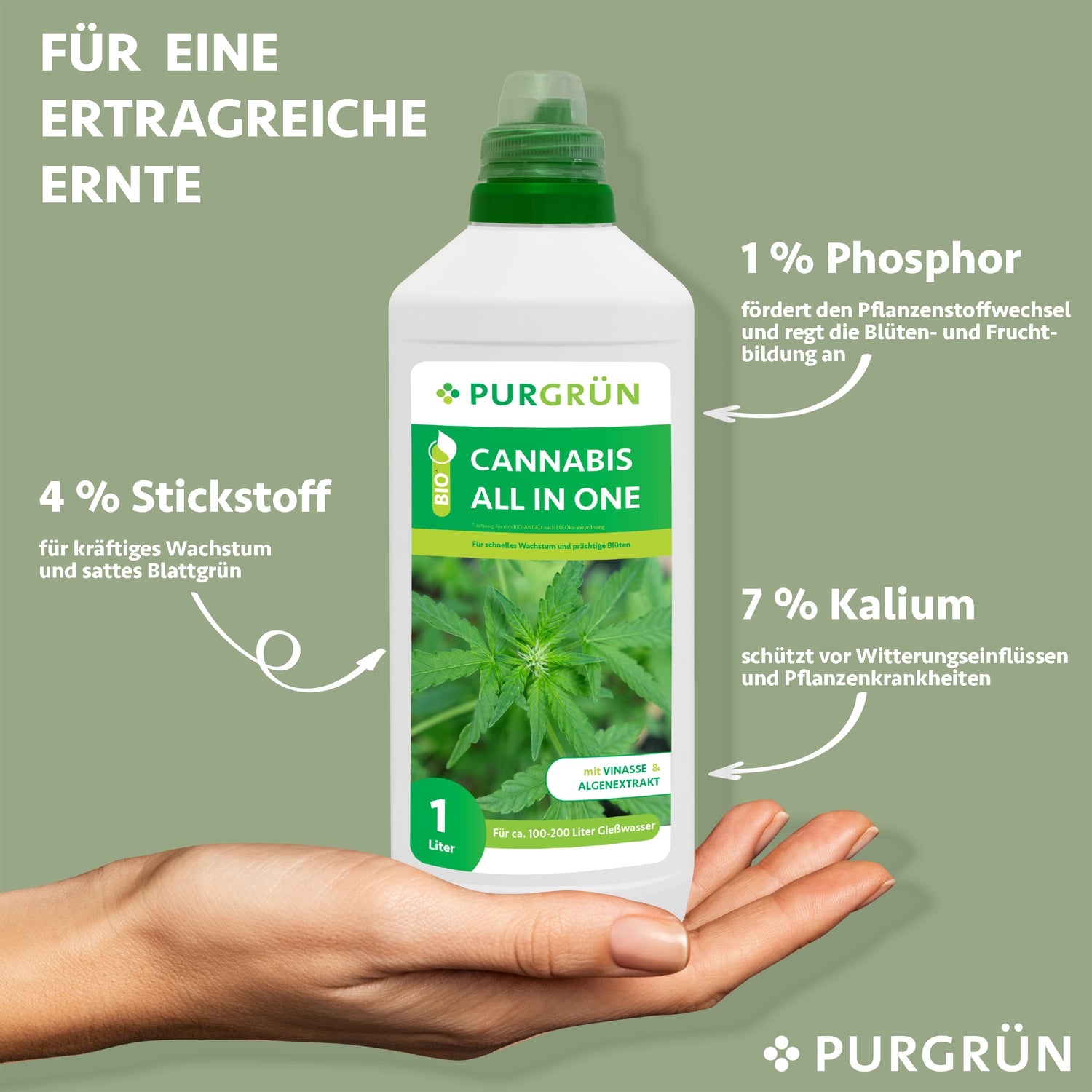 Eine Hand hält eine 1-Liter-Flasche Purgrün Bio-Cannabis-All-In-One-Dünger. Das Etikett zeigt 4 % Stickstoff, 1 % Phosphor und 7 % Kalium für das Pflanzenwachstum. Grüner Hintergrund mit Pflanzenbildern hebt diesen organischen Cannabisdünger hervor.