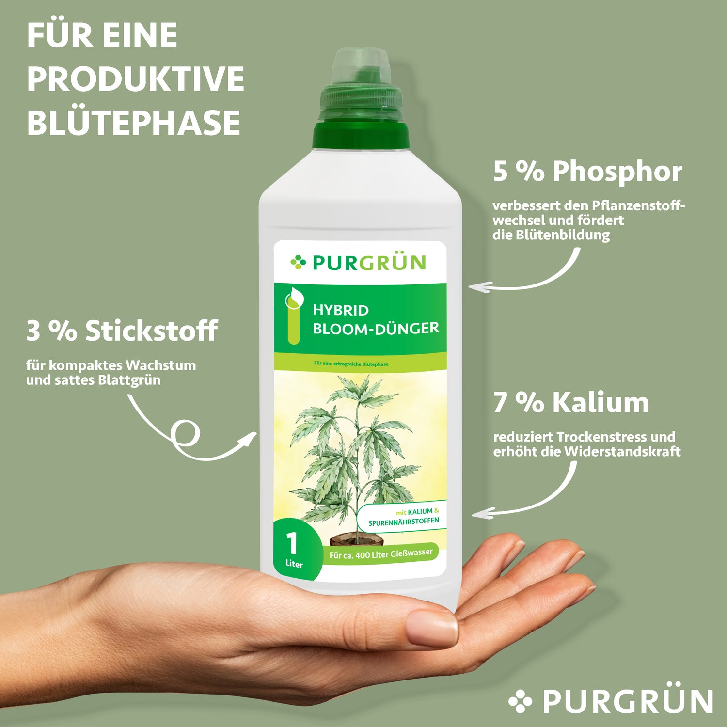 Eine Hand hält eine 1-Liter-Flasche Purgrün Hybrid-Blüh-Dünger. Das Etikett hebt das NPK-Verhältnis von 3-5-7 hervor, das starkes Wachstum und hohe Produktivität während der Blütephase unterstützt.
