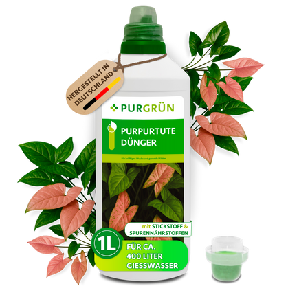 Purgrün Purpurtute-Dünger in der 1-Liter-Flasche mit Dosierkappe, umgeben von Purpurtute-Blättern und mit Anhänger „Hergestellt in Deutschland“.