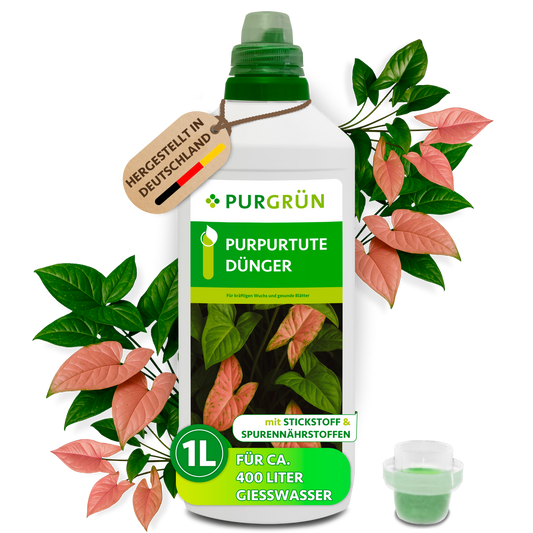 Purgrün Purpurtute-Dünger in der 1-Liter-Flasche mit Dosierkappe, umgeben von Purpurtute-Blättern und mit Anhänger „Hergestellt in Deutschland“.