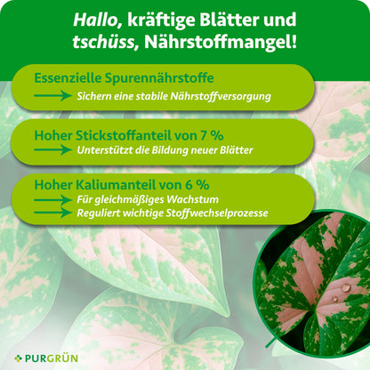 Essenzielle Spurennährstoffe sichern die Nährstoffversorgung; 7 % Stickstoff unterstützen neue Blätter und 6 % Kalium gleichmäßiges Wachstum sowie wichtige Stoffwechselprozesse.