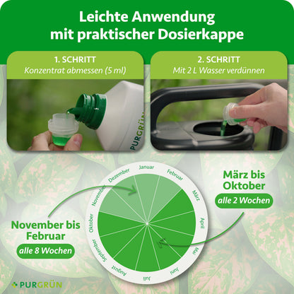 Anwendung: 5 ml Konzentrat abmessen und mit 2 l Wasser verdünnen. Von März bis Oktober alle 2 Wochen, von November bis Februar alle 8 Wochen düngen.