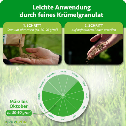 Rasen-Reparatur-Mix 0,5 kg