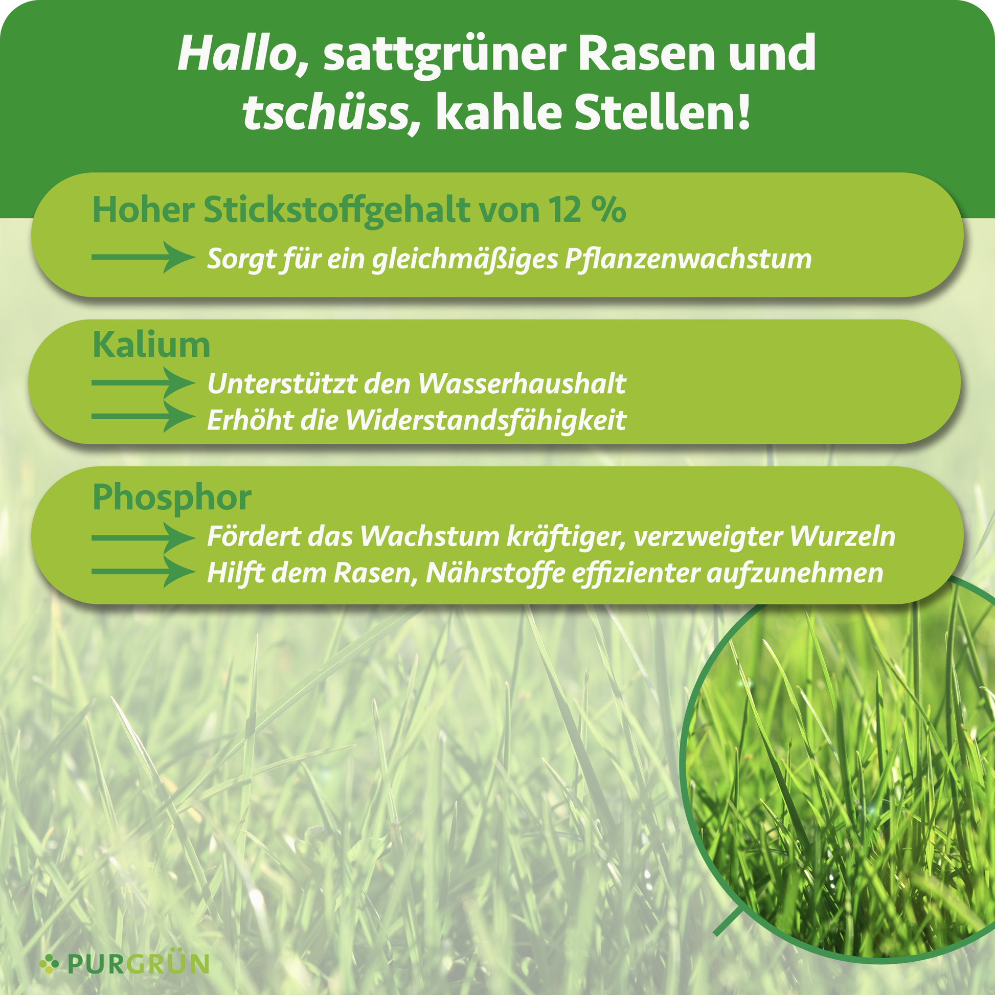 Rasendnger 10 kg  Purgrn