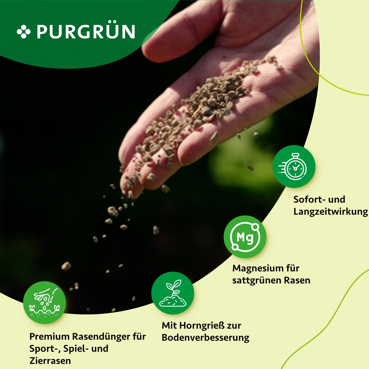 Eine Hand streut 10 kg Purgrün Rasendünger auf den Boden. Das Bild zeigt das PURGRÜN-Logo und Symbole für Nährstoffe, Sofort- und Langzeitwirkung, Magnesium sowie Hornmehl zur Bodenverbesserung.