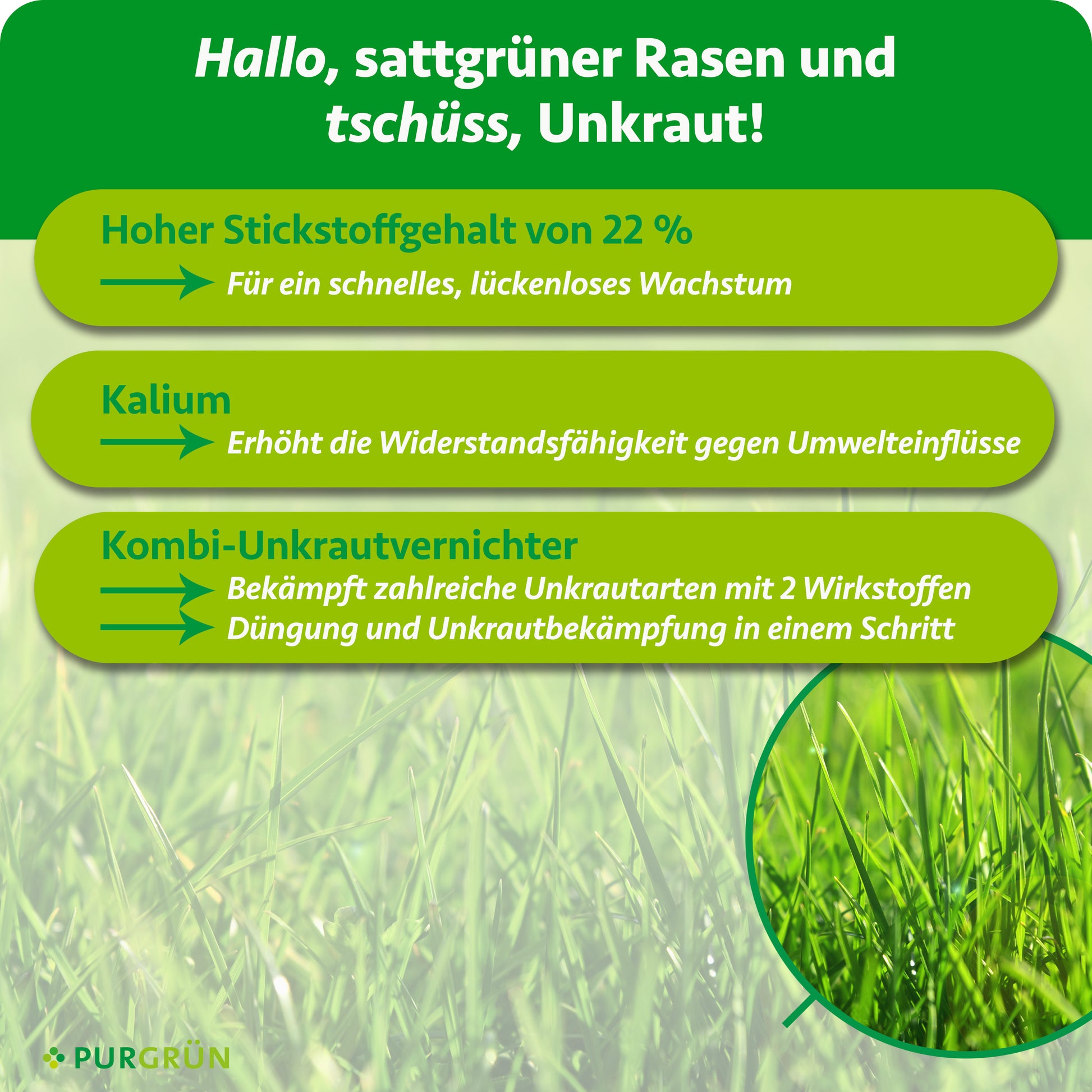 Rasendünger mit Unkrautvernichter 5 kg – Purgrün