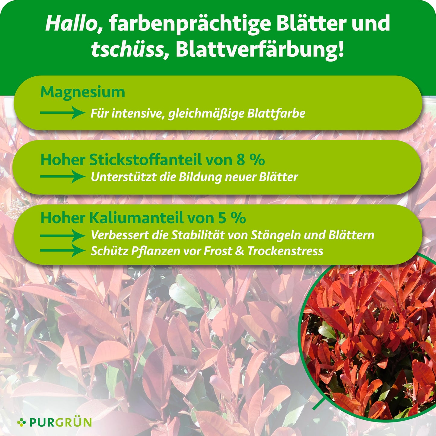 Red-Robin-Dünger 1 kg