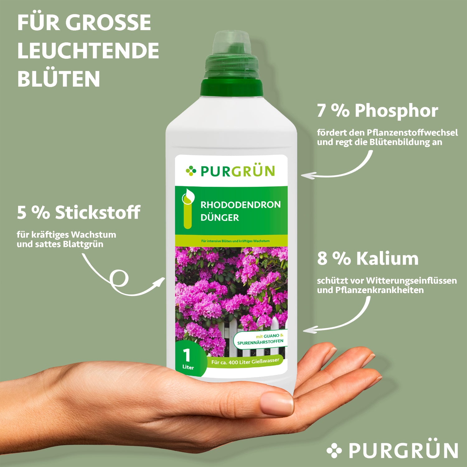 Eine Hand hält eine 1-Liter-Flasche Purgrün Rhododendrondünger. Das Etikett zeigt rosa Rhododendronblüten und betont, dass 5 % Stickstoff, 7 % Phosphor und 8 % Kalium für gesundes Wachstum und leuchtende Blüten sorgen.