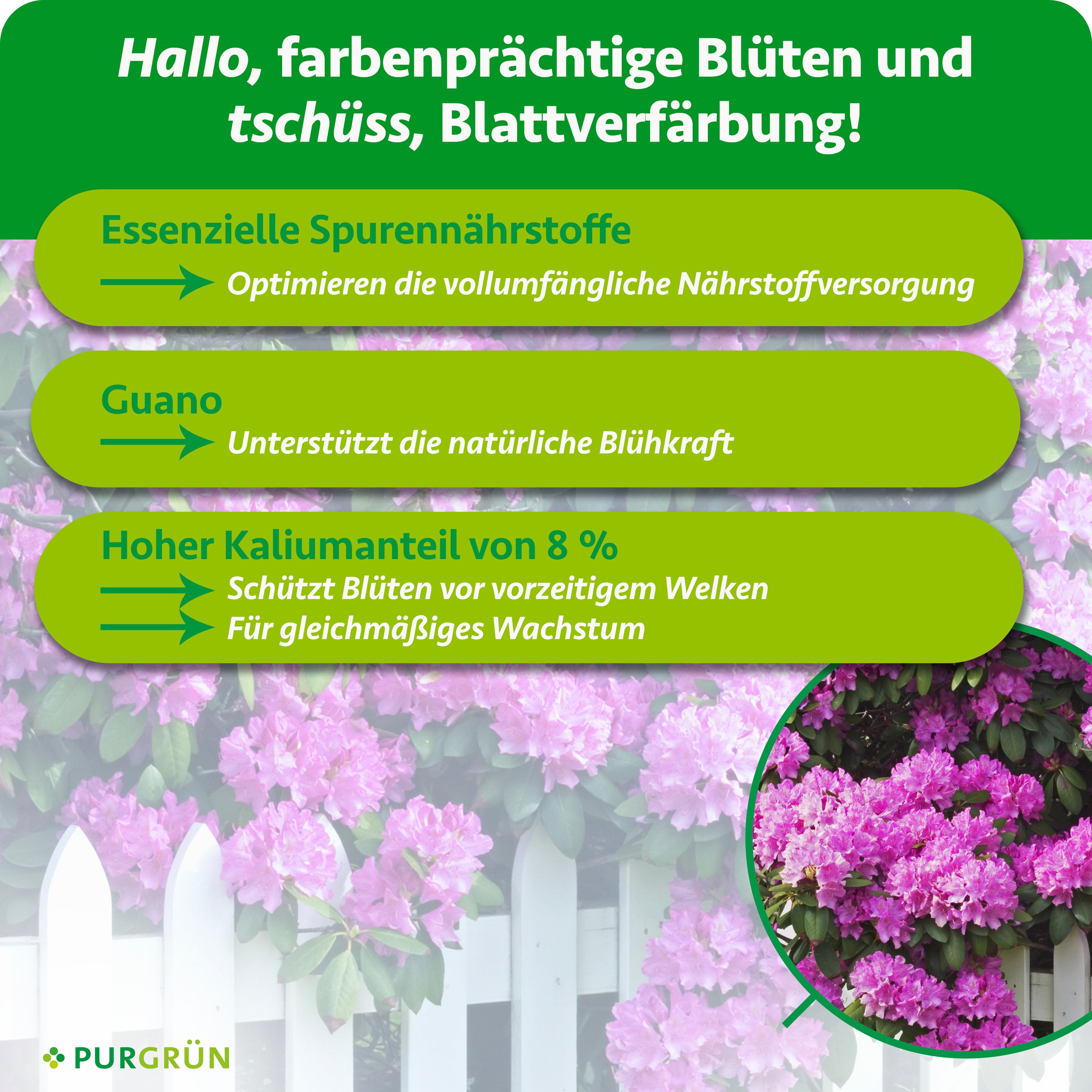 Hortensiendünger Langzeitdünger Flora Boost Rhododendron-Dünger 1 Liter –  Biologisch & Schnellwirkend Agapanthus Dünger