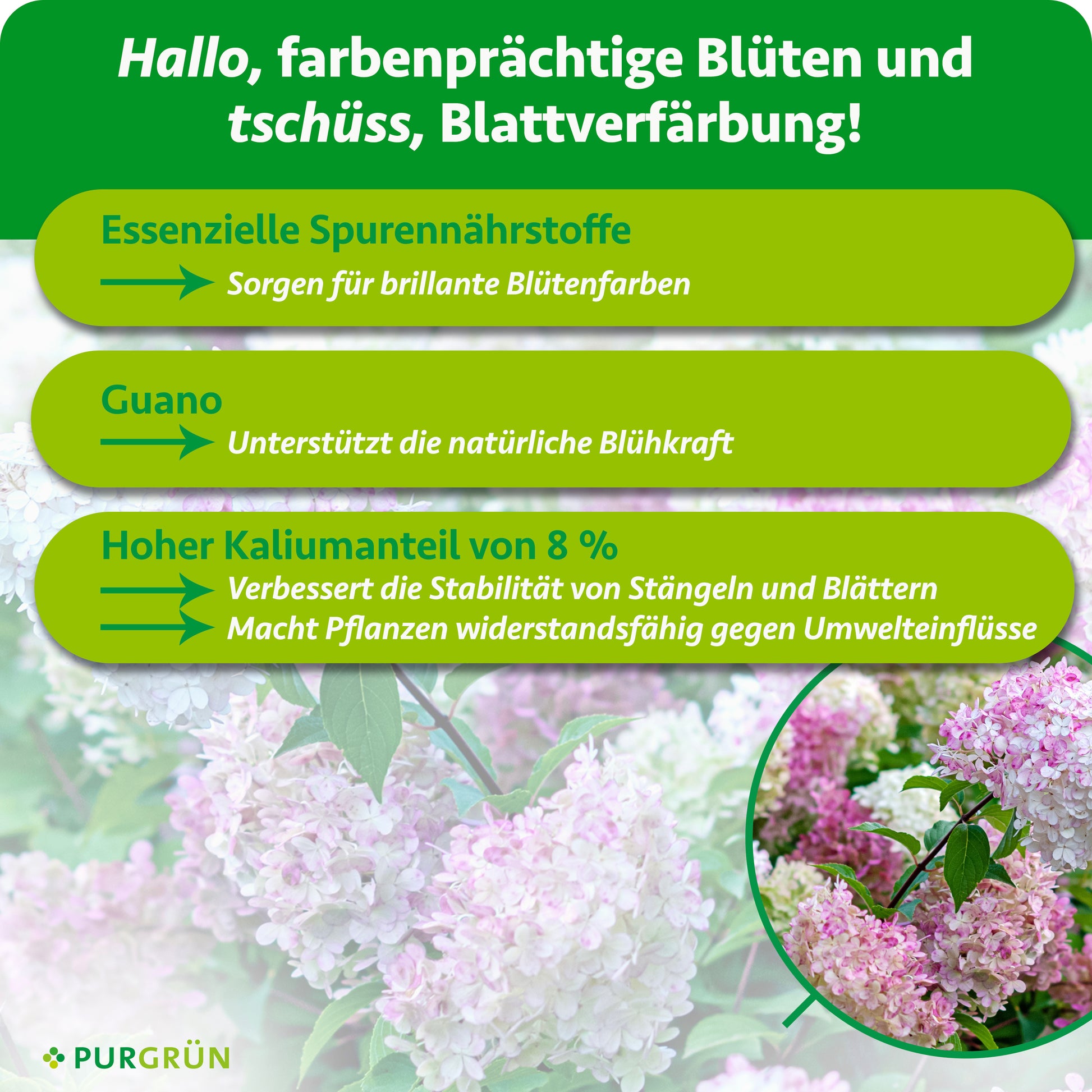 Purgrün Rispenhortensie-Dünger 1 Liter