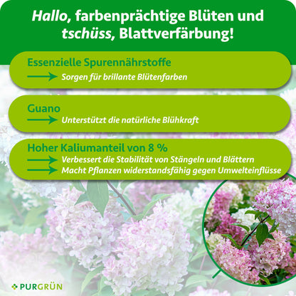 Rispenhortensie-Dünger 1 Liter