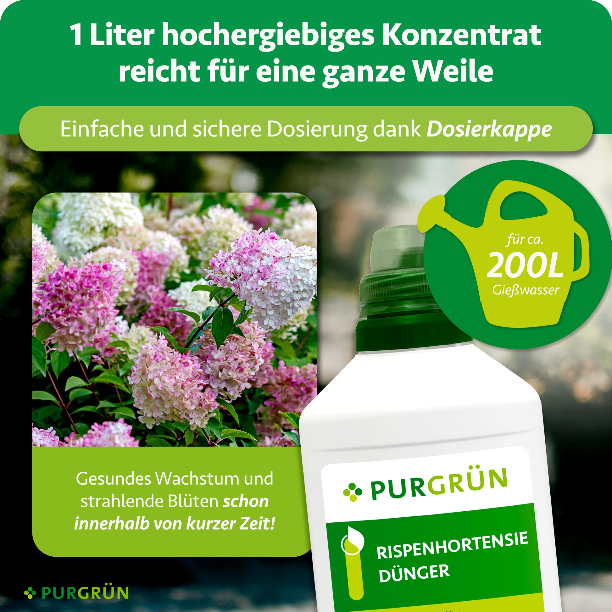 Purgrün Rispenhortensie-Dünger 1 Liter