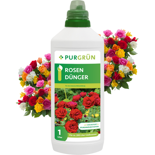 Eine 1-Liter-Flasche Purgrün Rosendünger steht vor leuchtenden Rosenbouquets. Das grüne Etikett ist mit weißer und gelber Schrift und Abbildungen roter Rosen versehen.