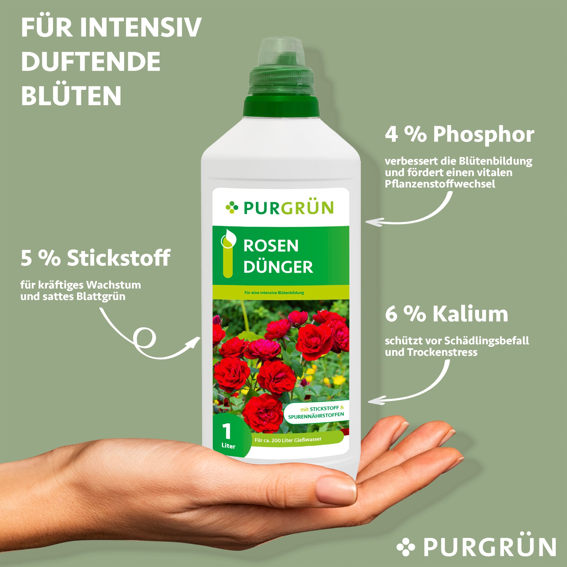 Eine Hand hält eine Flasche Purgrün Rosendünger 1 Liter. Auf dem Etikett sind rote Rosen abgebildet. Besonderheiten: 5% Stickstoff für Wachstum, 4% Phosphor für Blüten, 6% Kalium für Schutz. Überschrift: Für intensiv duftende Blüten.